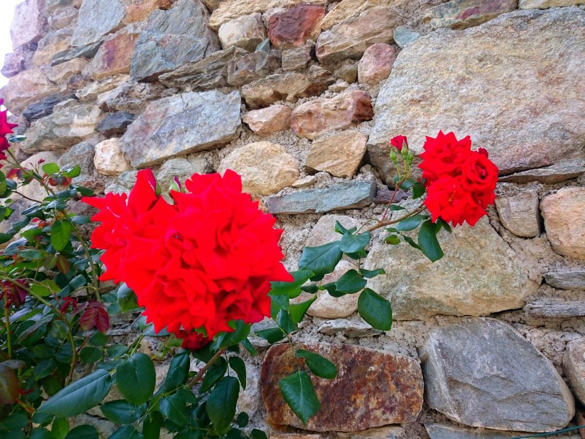 Villa Casa Delle Rose Teglio Exterior foto